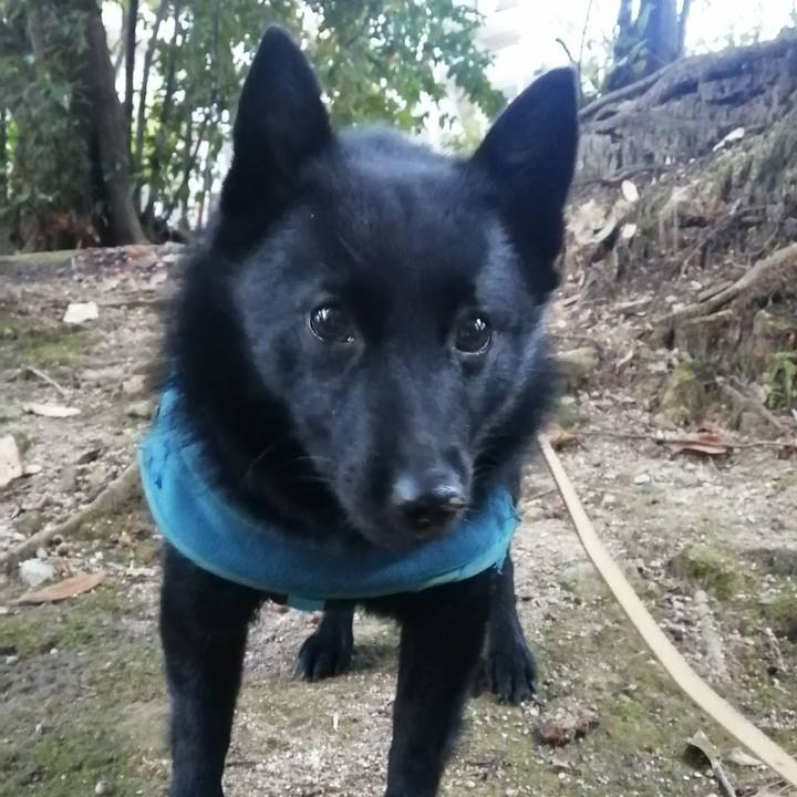 5fa064f7 02e3 4498 a68c fb22ecdcf78c 1642025162140