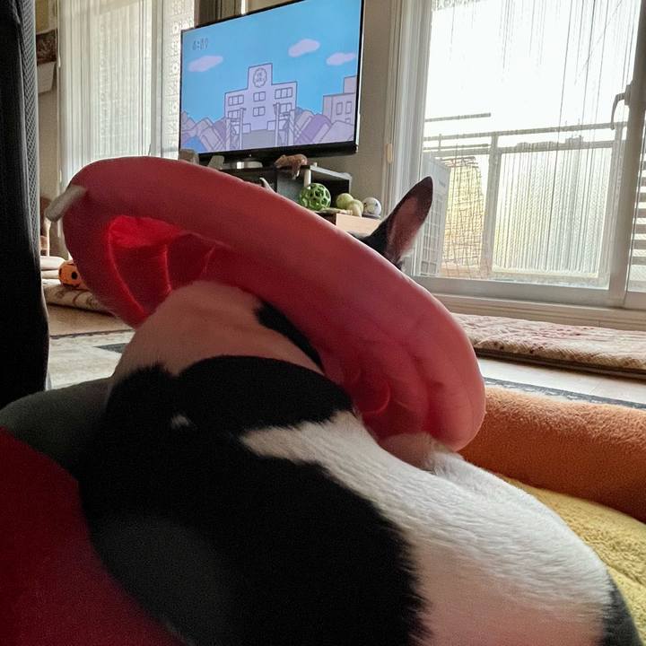 5fa06e21 9f30 4180 a612 c704a102e8c3 1638396948494