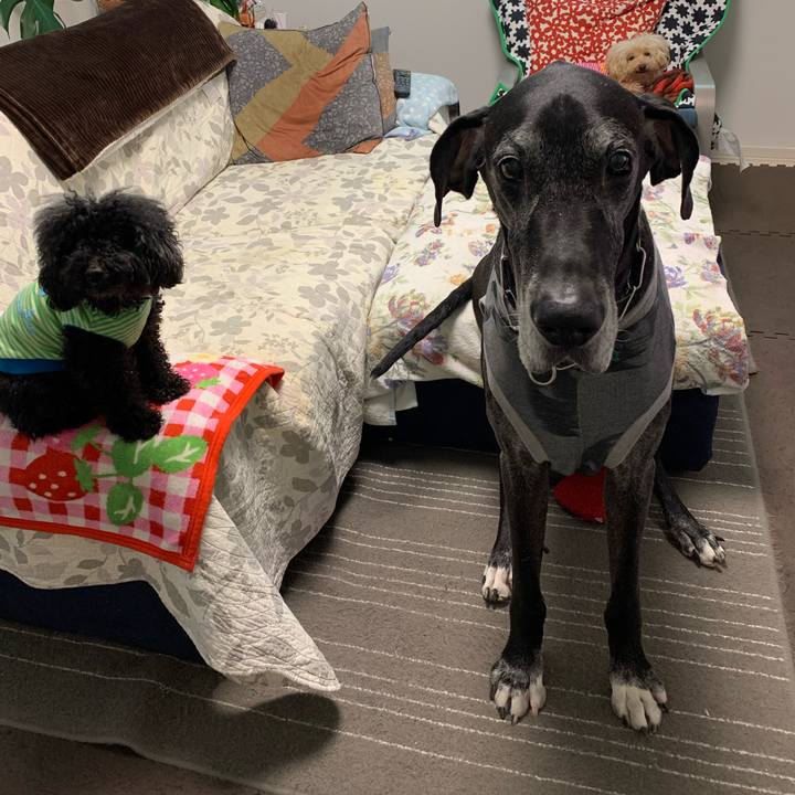 5fa0de9f f3e3 4235 9c6d 70f88b9c33df 1589927362675