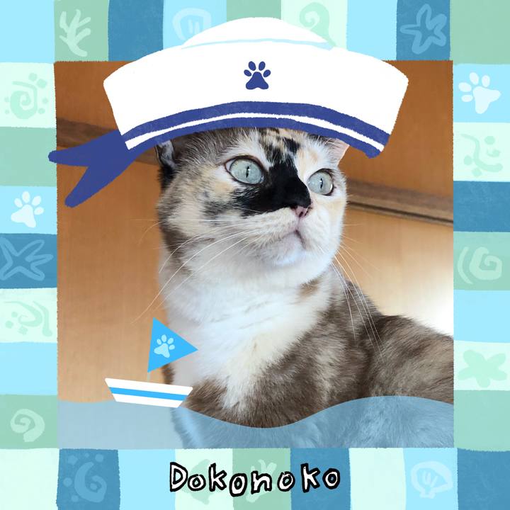 5fa0e8c0 99b5 4418 9ccd 594bbe59e386 1786900176759