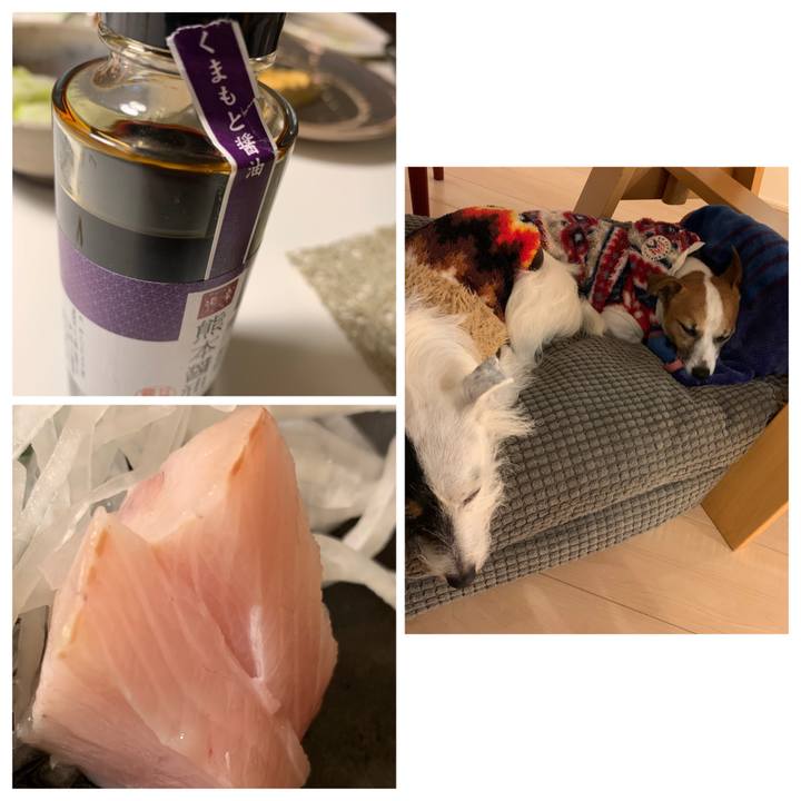 5fa0e8ce d983 4ca4 a37b 1cea5438bfb3 1576317905416