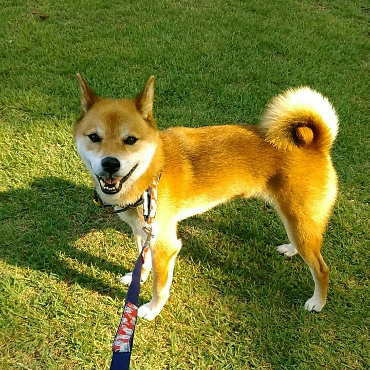 5fa0f76d dd84 4c37 a017 155ce64776fd 1566862100515