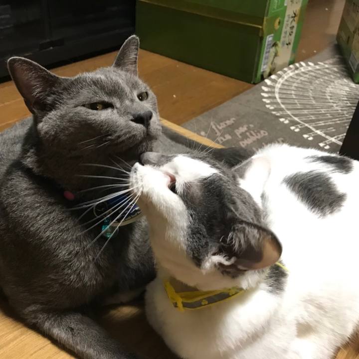 5fa134f7 e604 4de7 878b aaa5ebe01d0c 1530975585903