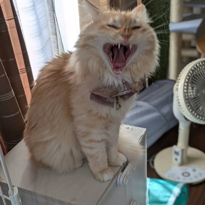 5fa144ad a16a 48ef adee de104af7ffc5 1728884695307