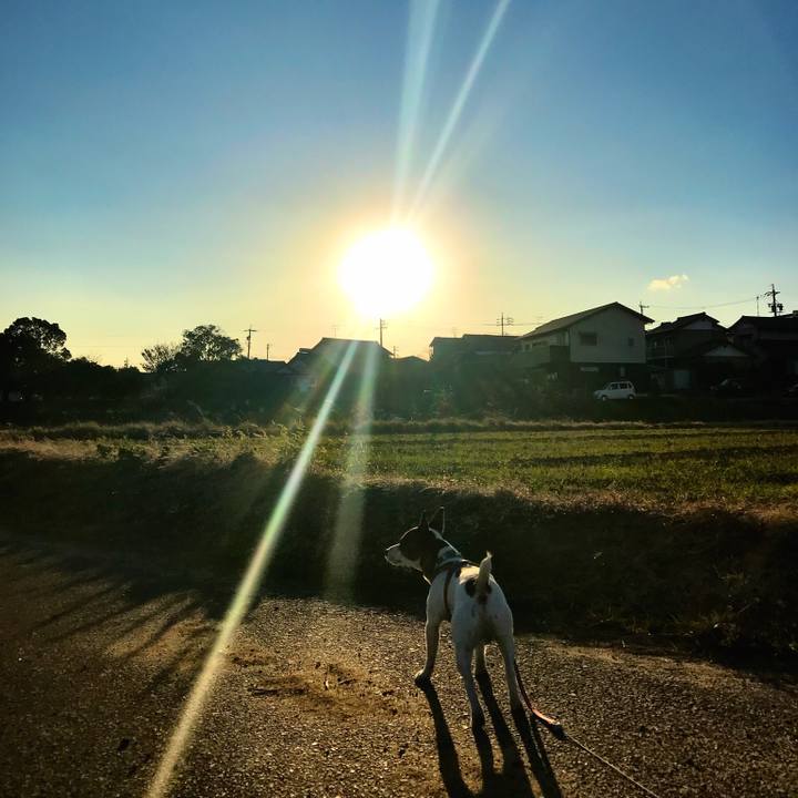 5fa1732a a0c2 4c2b 9980 838eed8fd674 1513586190260