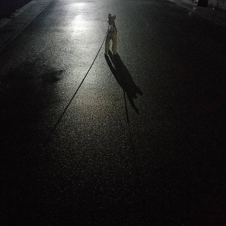 5fa174a9 651a 4119 b209 d27b5b6363ae 1568298466243