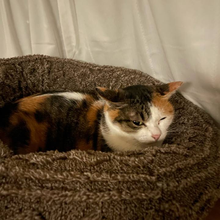 5fa18630 3345 45ae a531 683cde2997ba 1676897949905