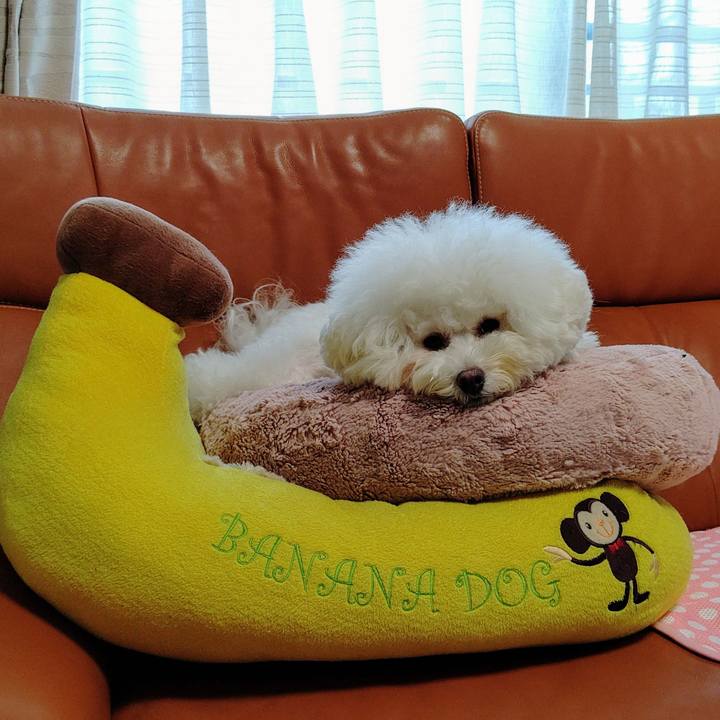 5fa19378 c91d 43d8 bf86 011658a0c180 1571029200179