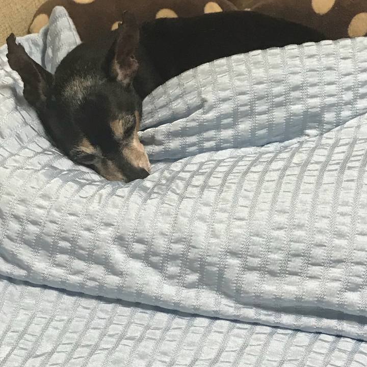 5fa1a123 a57b 43bf b99f 735478754a7b 1531583967275