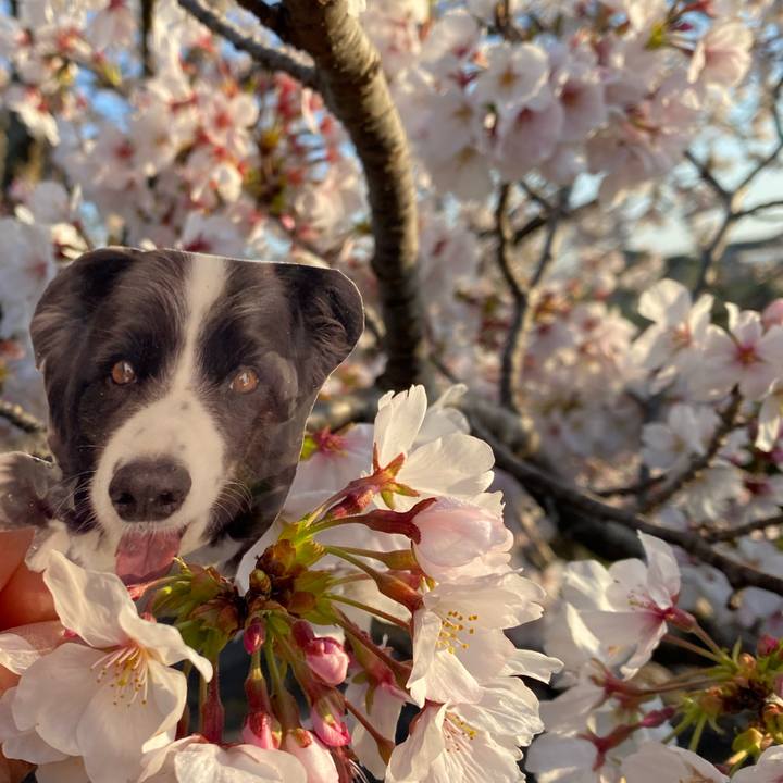 5fa1a566 bfcb 4981 a874 cca791110eff 1743976878747