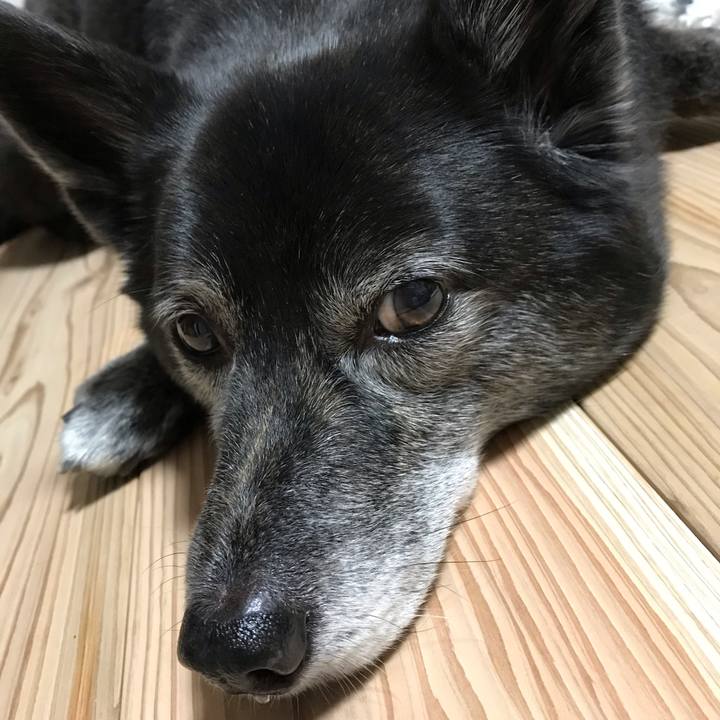 5fa1b654 4c28 41ac 862d 3a89bf0ced23 1580474593599