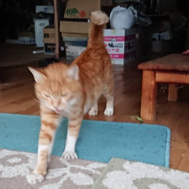 5fa1c69a bbbe 47ba 9416 f25abf445fa7 1568969700546