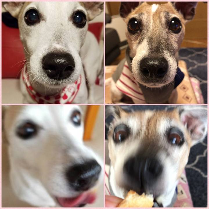 5fa21027 f546 46f5 9491 979977f294c2 1521544721373