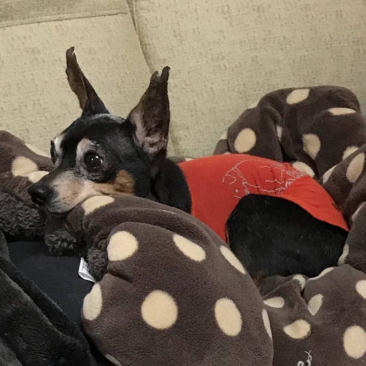 5fa21799 21ec 49bd b75c d165ffe63a5c 1520069138560