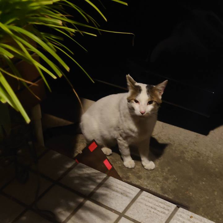 5fa2363c 5ab1 45ac 9605 99d07f8780f1 1689507686254