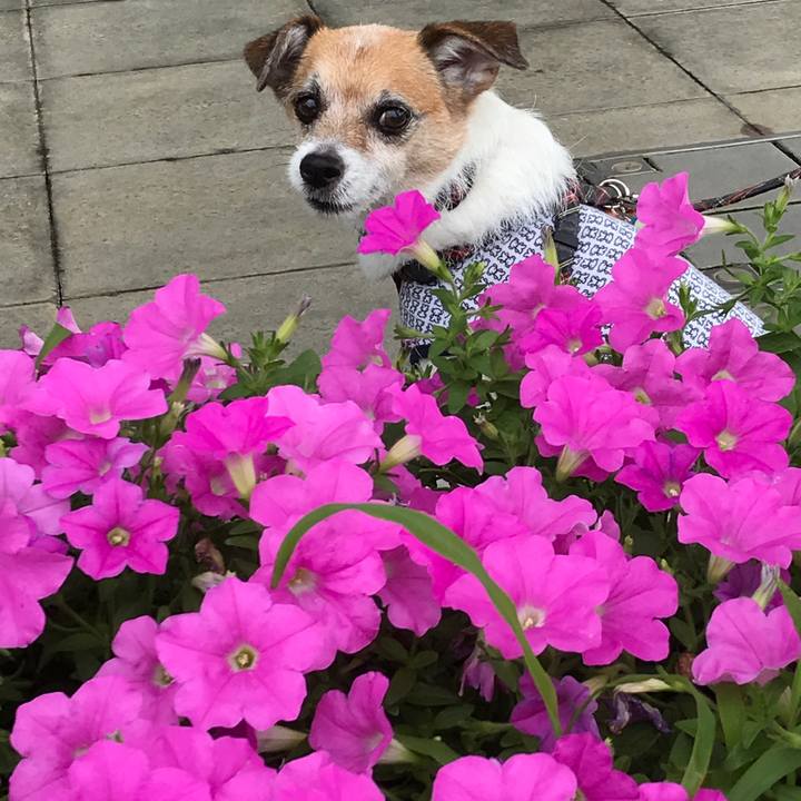 5fa27160 cb78 4207 a716 d04569fcb680 1594449636171