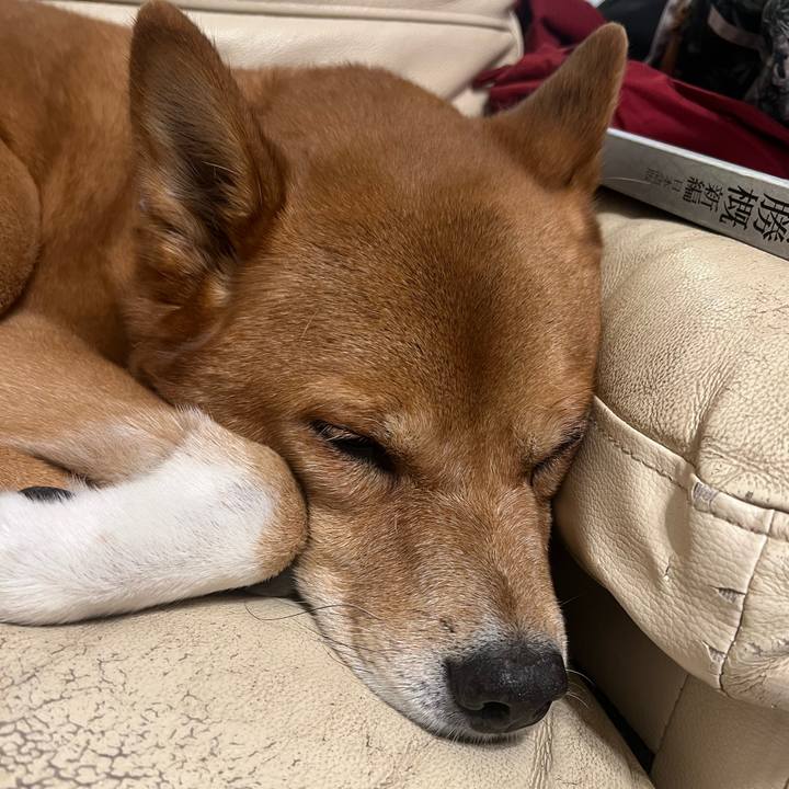 5fa27eb8 45cf 457e 9986 b093d9aa708b 1728212364233