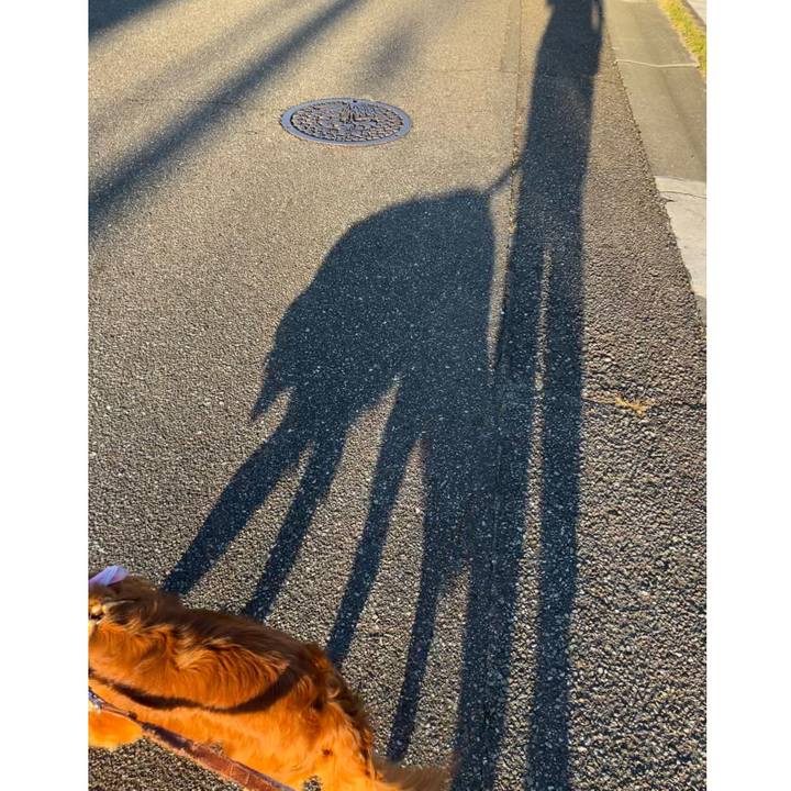 5fa29614 68bd 40a5 ab59 97c31b755632 1691279002546