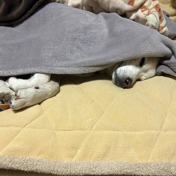 5fa2bd6b 152a 4d21 aa37 6e82bdc65964 1701697086271