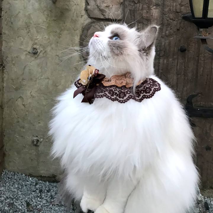 5fa2ecbe e918 4f66 b91d e1f4e1e1b6b7 1608034803703