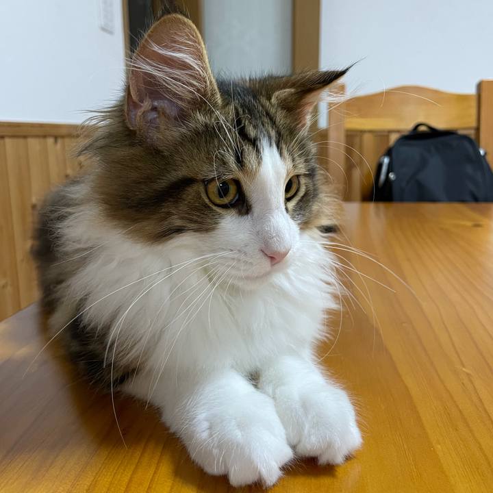 5fa318b5 dc9b 44a5 891f 4ce4582cddfd 1636578056126