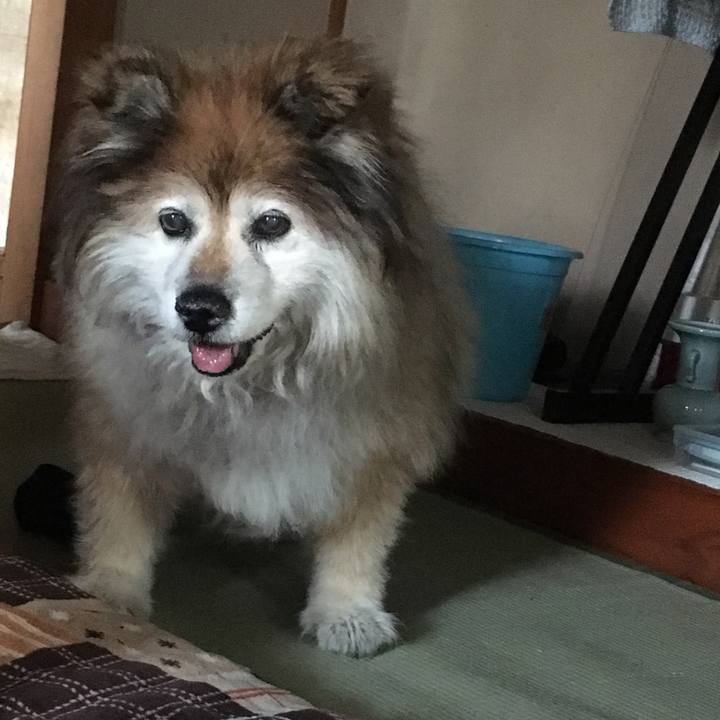 5fa31e1f 8667 4ebe b03b 437770b7d299 1558076034895