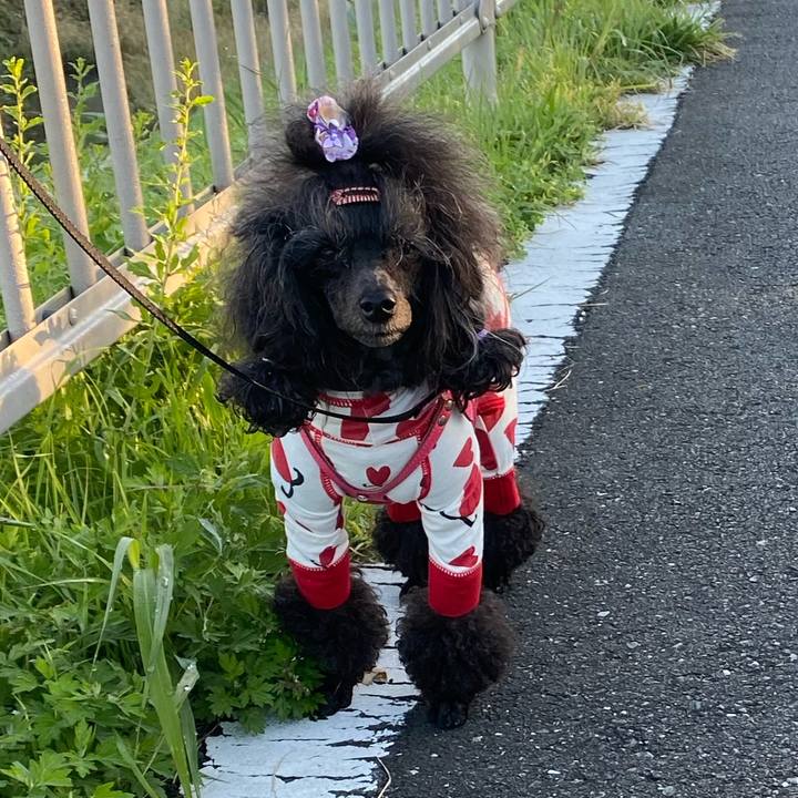 5fa32c30 f1ed 41b4 beec d42dac93bbe1 1666323831698