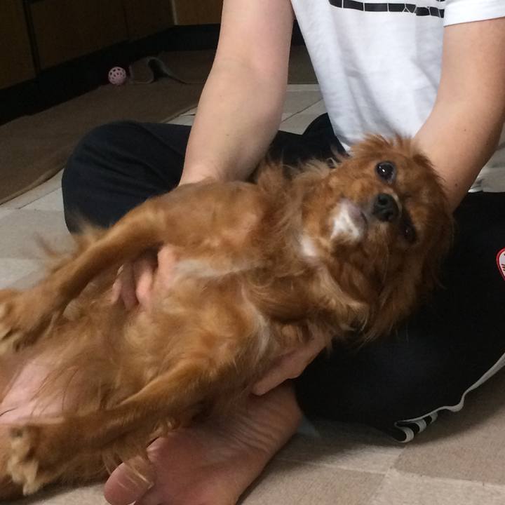 5fa35326 1cea 49fd bd95 5ed1efc3f5c4 1522880218990