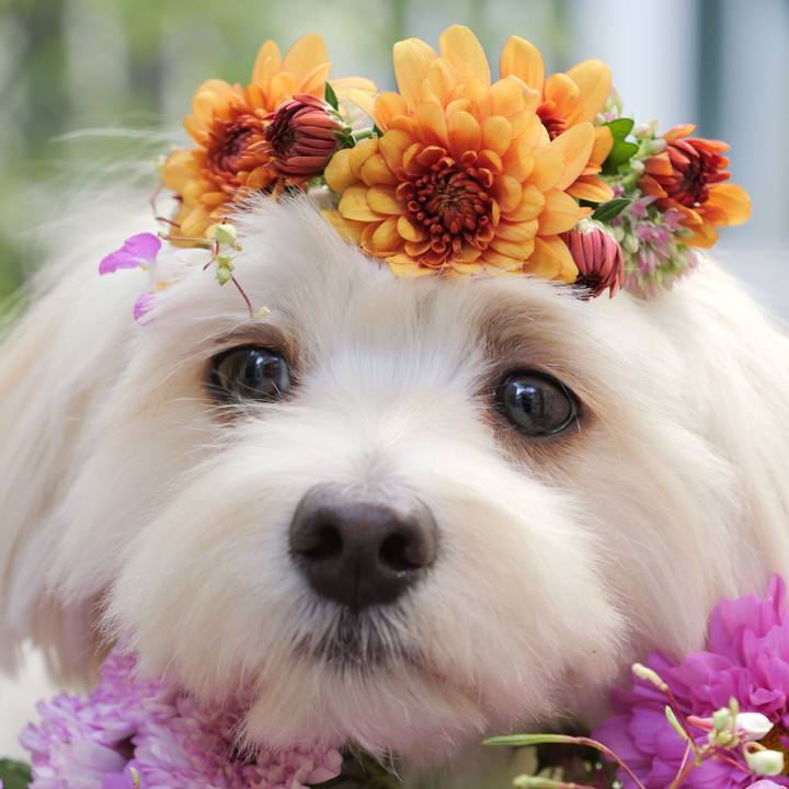 5fa362a9 053d 4222 8831 d6424c123381 1757690253372