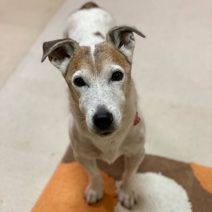 5fa3692c a8c2 4b6b 8c01 b89cdc95daa4 1606774501514