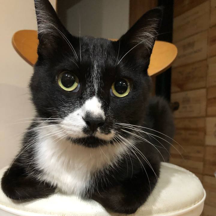 5fa3ae38 2751 460d 9756 77d8ea9d9119 1664854244276