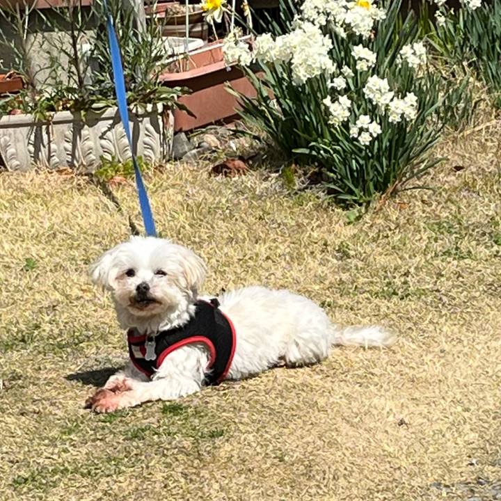 5fa3dc73 c543 46fd 98d2 2f9d4220294a 1711852694983