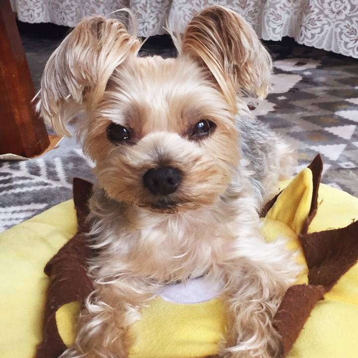 5fa404ed 3bb8 4ac2 9189 7baed422372e 1527762829532