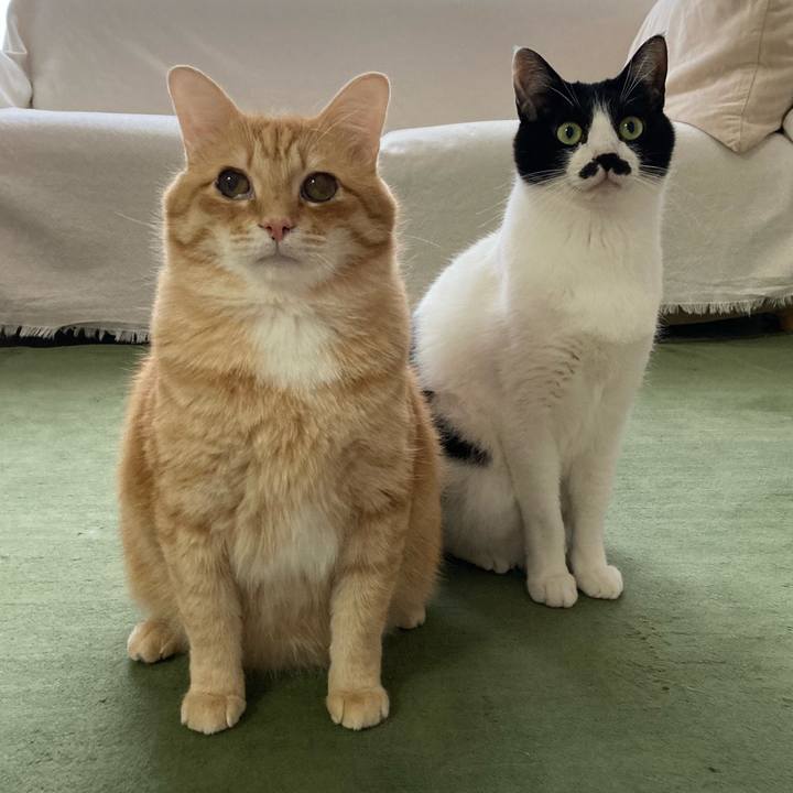 5fa417a5 cd18 4478 a333 244c3badbb8a 1771971323427