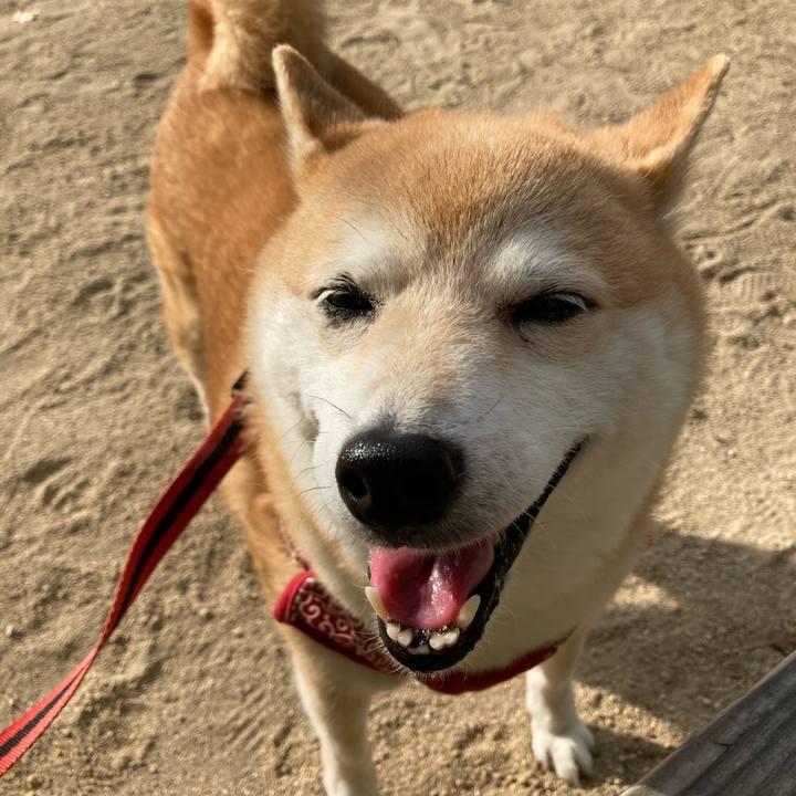 5fa42641 1dd8 48fd 8d1d 4280b5fbd775 1627122544830