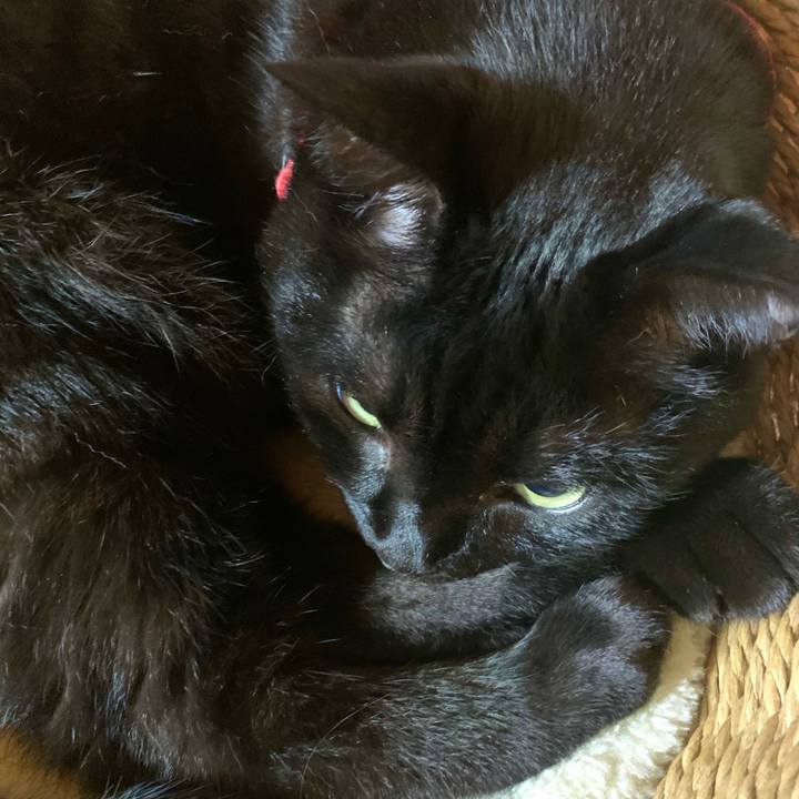 5fa4393c f3be 43f1 92eb 07e03d9900ee 1591451490938