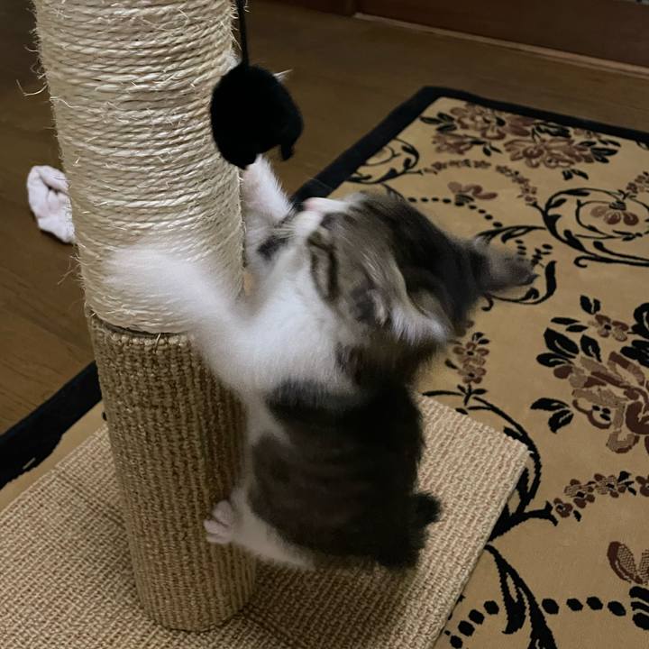 5fa459f1 8426 4f18 ae1c 0597be4dd5b7 1720520228673