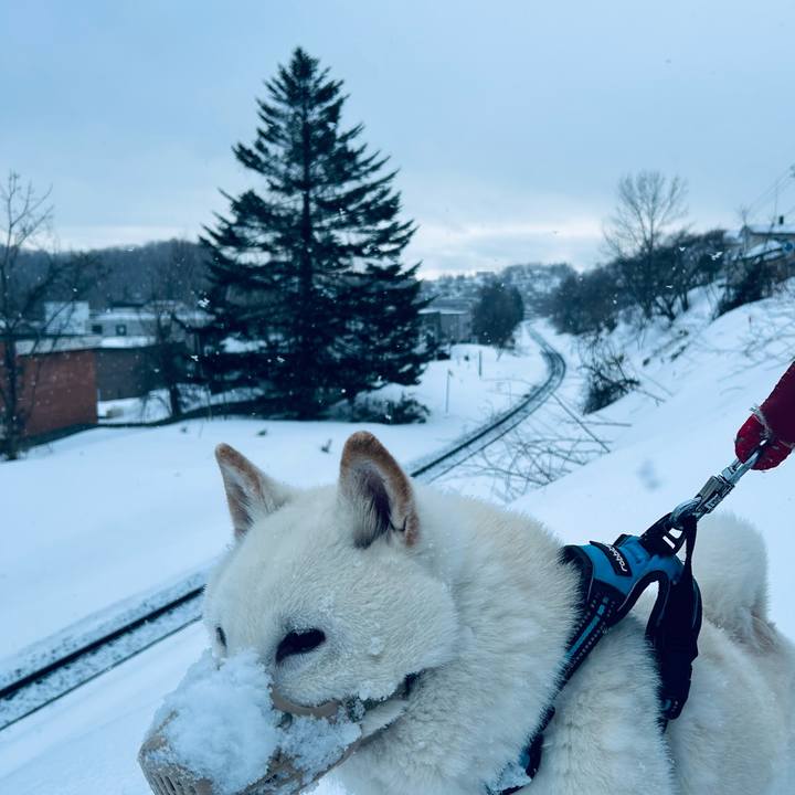 5fa48001 114c 4c55 bd44 901aaa9b7b71 1773362142939