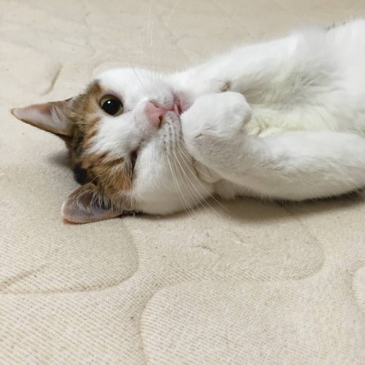 5fa4d728 6688 4cfa 9625 0dcc963449e1 1538643922764