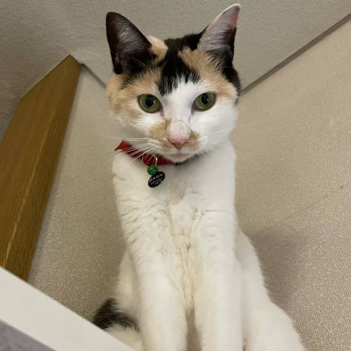 5fa4eea3 d946 4478 b875 9e0d1a1141fc 1709815570659