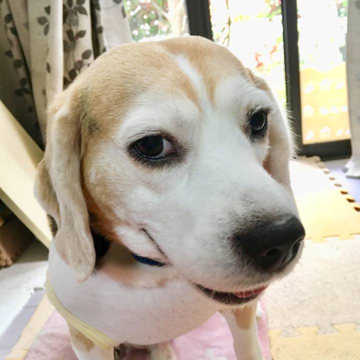 5fa5215f 6318 4c59 8b49 5aead9a9840b 1556166661129