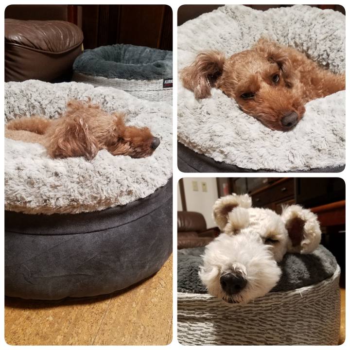 5fa54bd9 c5f6 4635 a7eb 6ba1fd403ec0 1542234301064