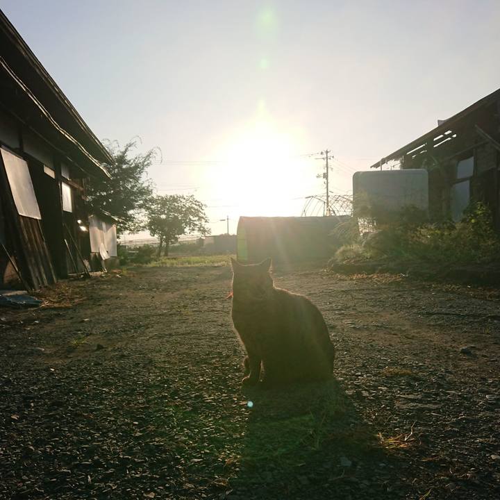 5fa5500c fa1d 4515 80b0 6ec463a8189e 1662930914307