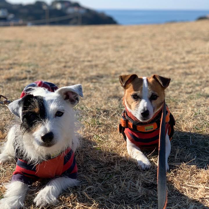 5fa5878d b6a1 4660 9b3a 7e791bf552c5 1610587684443