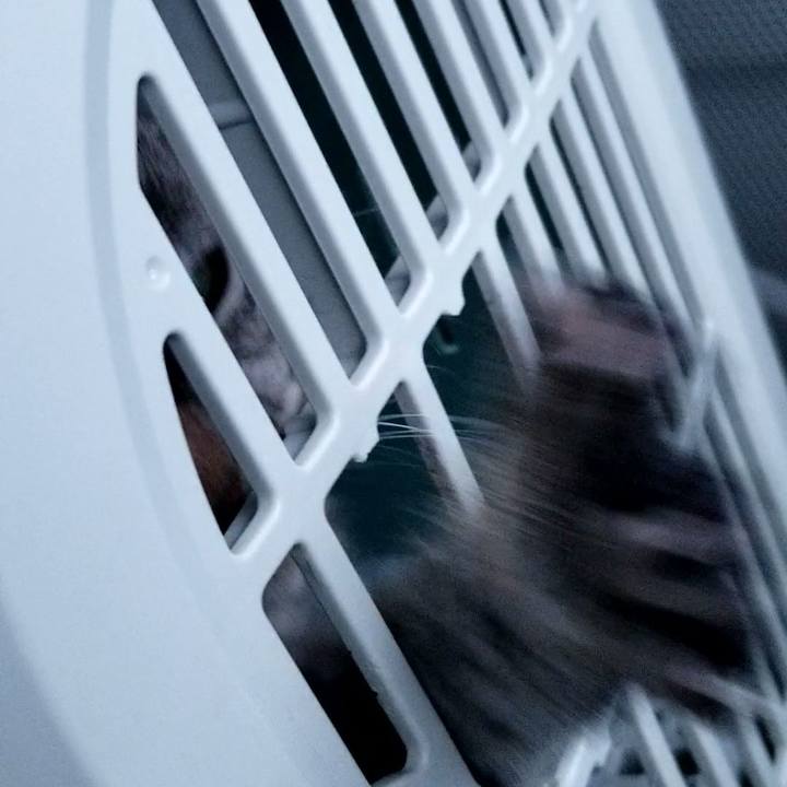 5fa59bb6 a018 4e1b 9567 cddb86229119 1675822600480