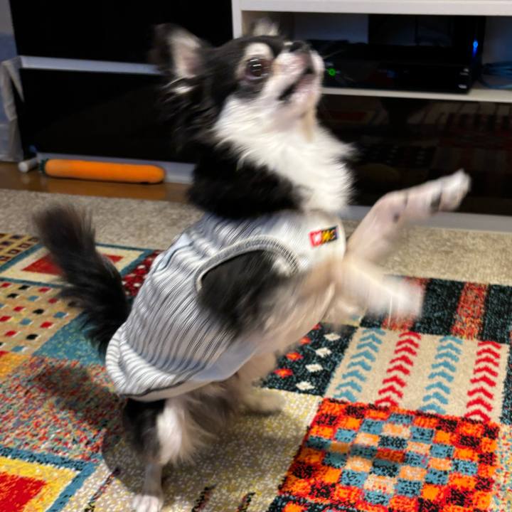 5fa5c96c 74b5 4a7d 8707 ecc180af3a2b 1727020488302