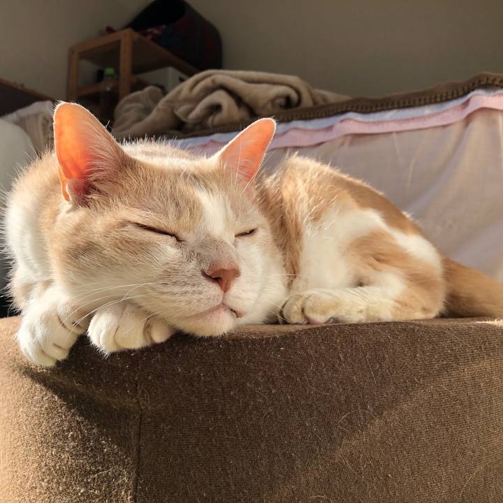 5fa61aa6 2a5a 4a04 aad9 85ad81d6031b 1590152778601