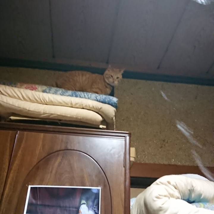 5fa62a0d 22b7 45ff b38d 84fad4e2c964 1644526325958