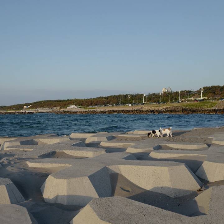 5fa64e8d 4513 494e 81f6 1ab306f82903 1527396124928