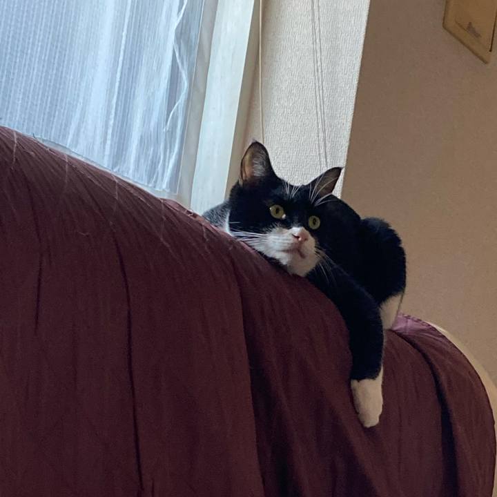 5fa65174 107b 4769 8cd7 a4fab70b9940 1608816093528